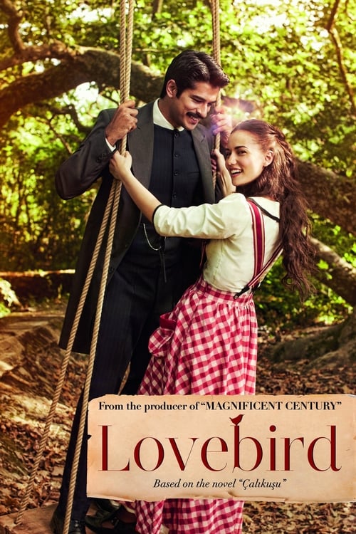 مسلسل طائر النمنمة الحلقة 13